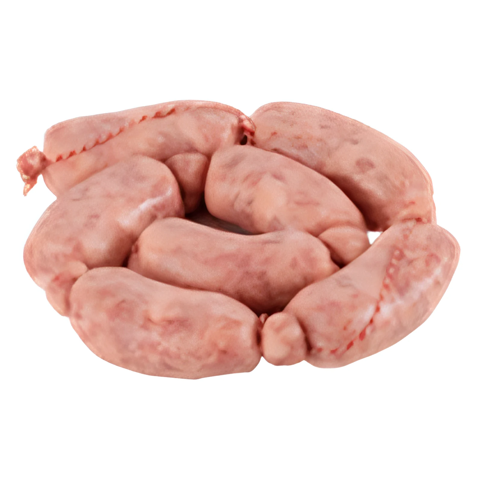 Ristra de chorizos frescos sobre fondo blanco
