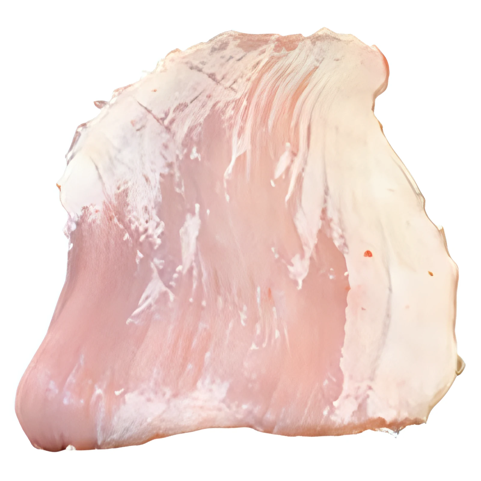 Matambre de cerdo sobre fondo blanco