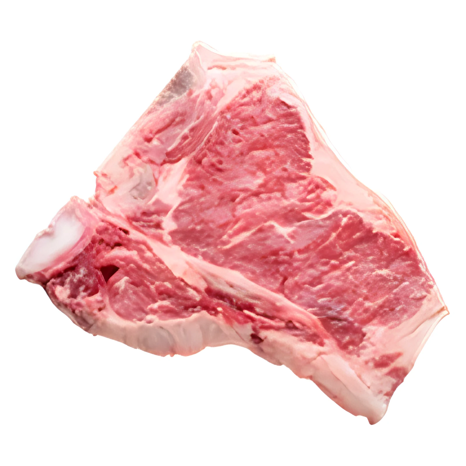 Bife T-Bone con hueso, sobre fondo blanco