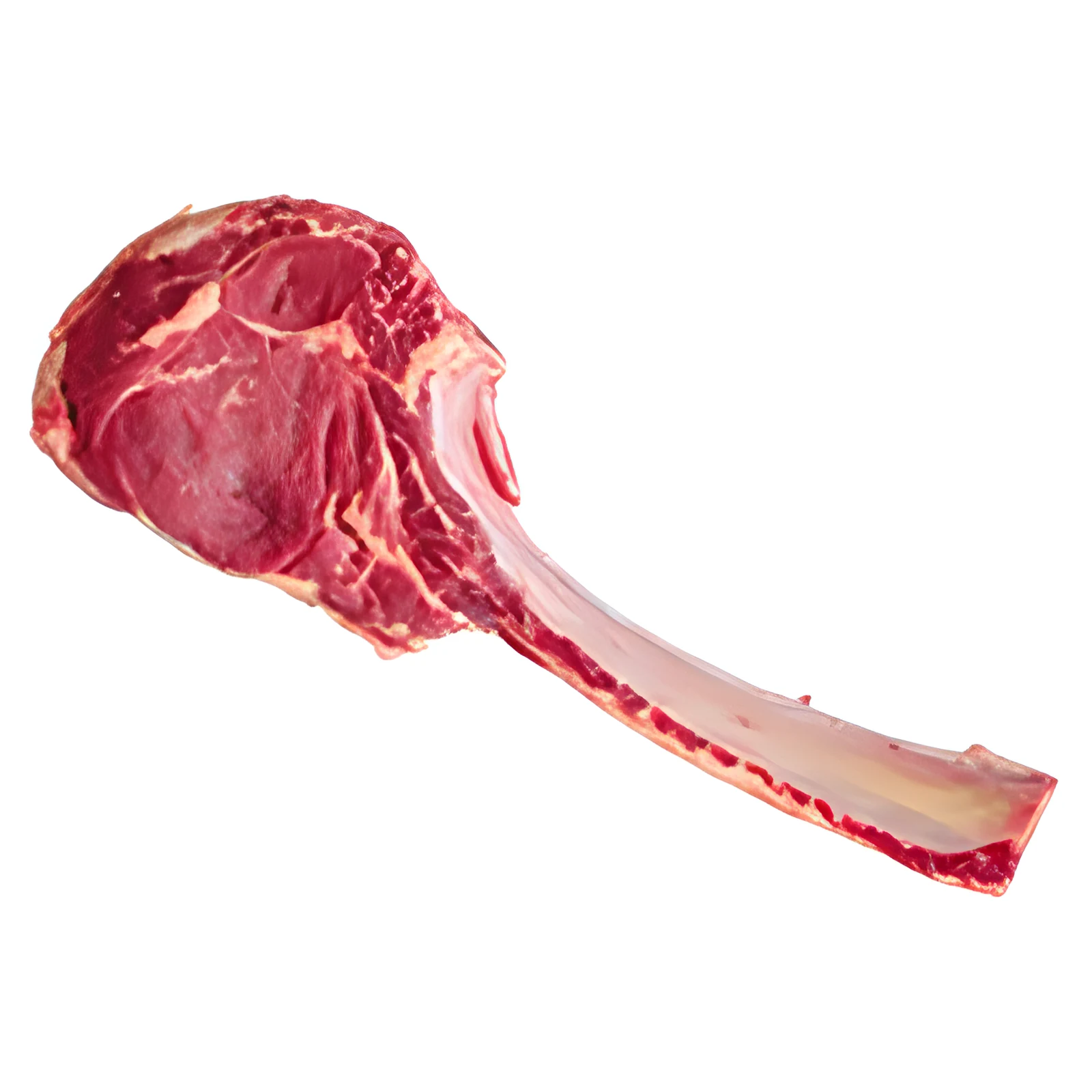 Bife tomahawk con hueso largo, sobre fondo blanco